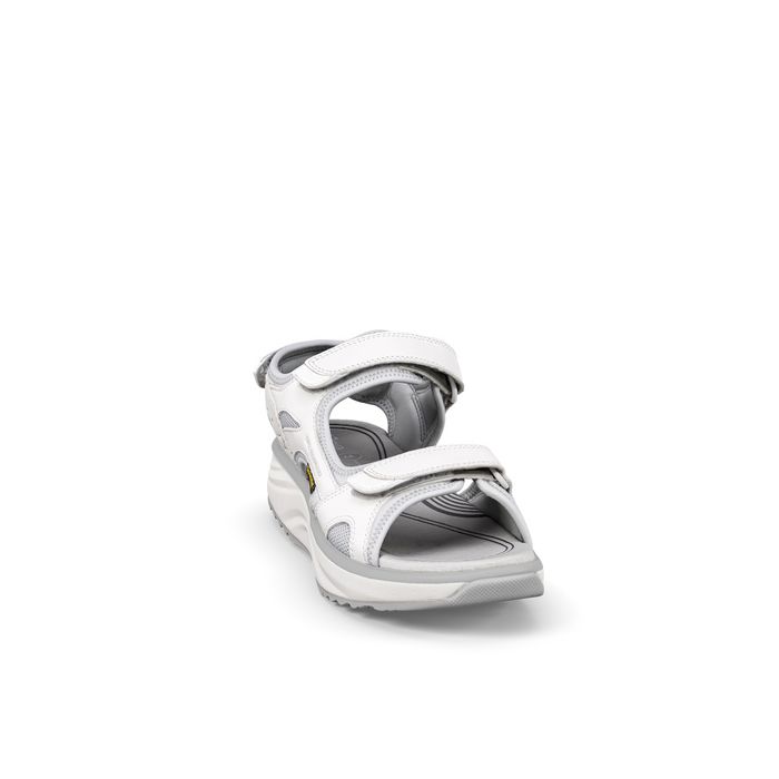 Joya Komodo II SR White